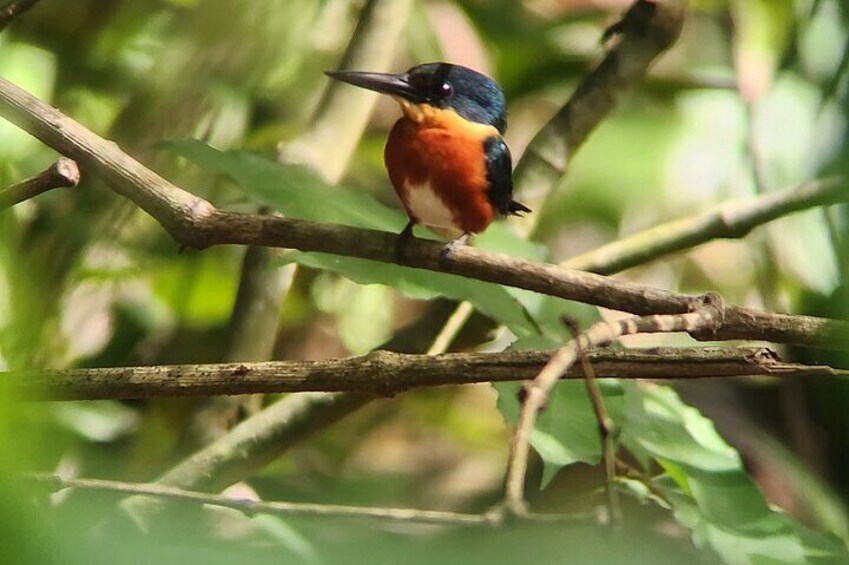 Private Tour in Curú National Park With Transportation