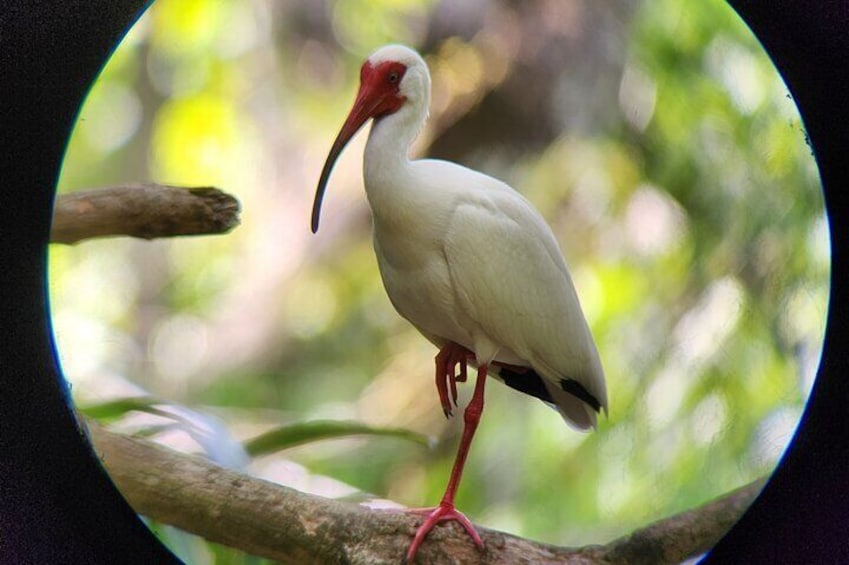 Private Tour in Curú National Park With Transportation