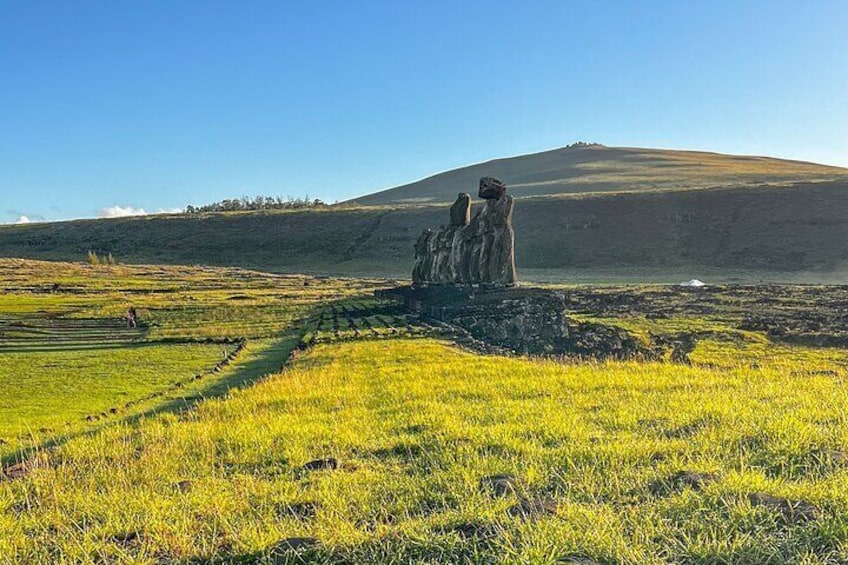 Full Day Tour in Rapa Nui National Park, Easter Island