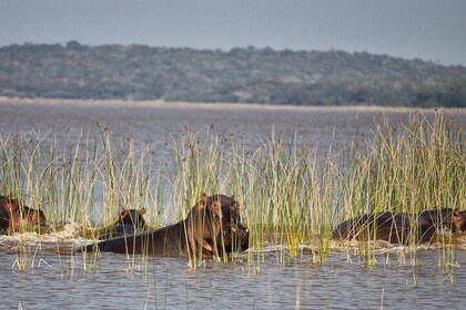 2-Day Maputo Special Reserve Guided Tour