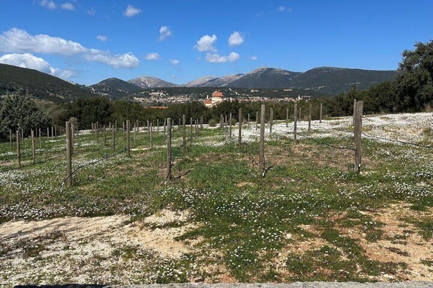 Off-Road Wine Fiesta at Cephalonia