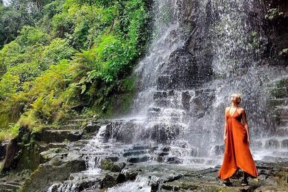 Best Of Bali Waterfall and Temple Tour