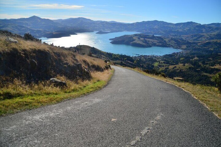 Private Shore Excursion from Lyttelton- Visit Akaroa & Peninsula