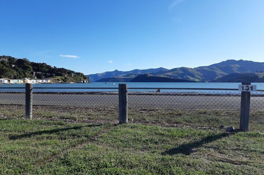 Private Shore Excursion from Lyttelton- Visit Akaroa & Peninsula