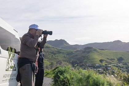 Private Shore Excursion from Lyttelton- Visit Akaroa & Peninsula