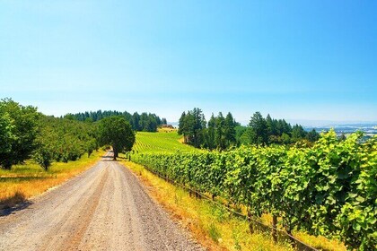 Full Day Private Willamette Valley Wine Tour from Portland