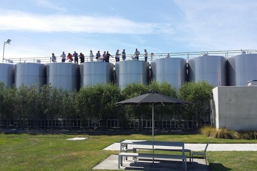 Enjoying the Marlborough view from on top of the tanks.