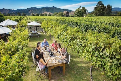 Gourmet Gold Wine Tour: Indulge in Cloudy Bay's finest wines