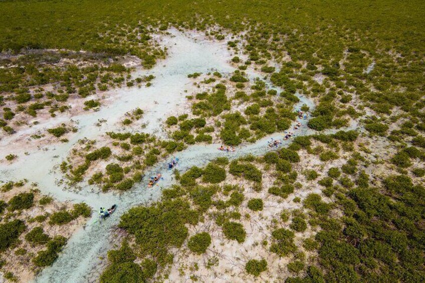 3HR Clear Kayak Mangrove and iguana island Tour in Leeward