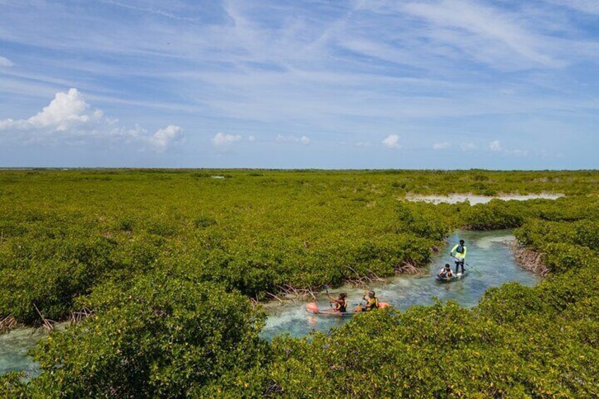 3HR Clear Kayak Mangrove and iguana island Tour in Leeward