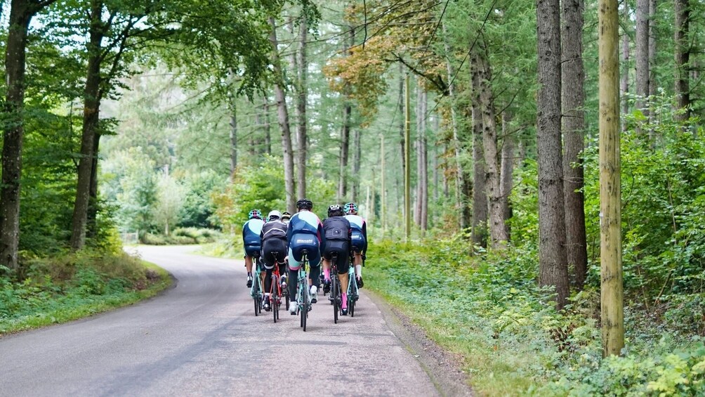 Full Day Dalat To Nha Trang: An Exciting Cycling Adventure