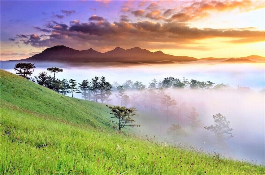  Full Day Dalat Expedition: A Trek Into Tranquil Heights