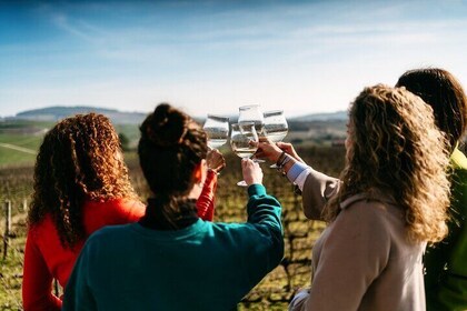 From Porto Private Tour Douro and Favaios with Wines Lunch and Boat