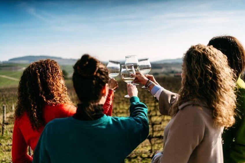 From Porto Private Tour Douro and Favaios with Wines Lunch and Boat