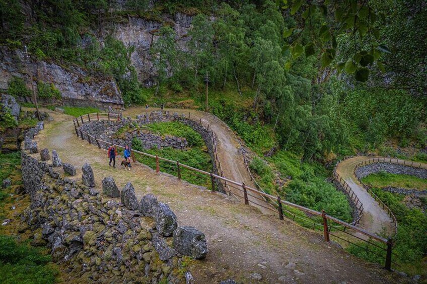 Shared Guided Tour in Borgund Stave Church and Vindhella