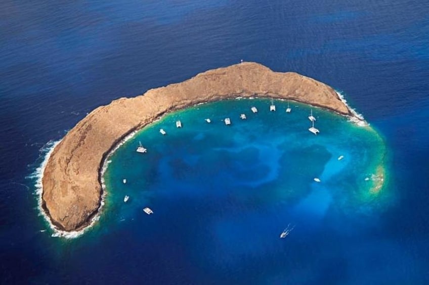 Koa Kai Molokini Snorkel Tour