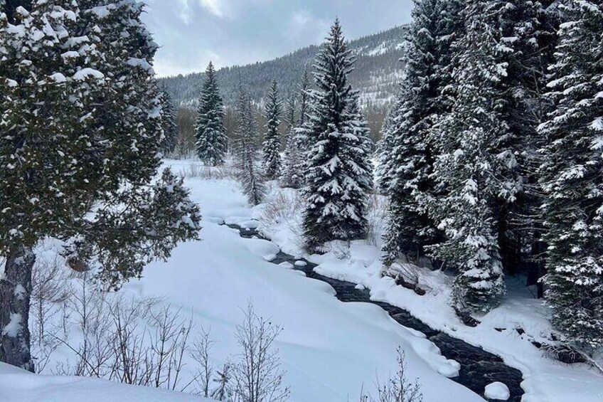 Provo River 