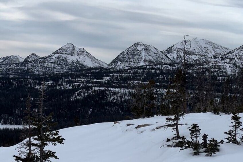 2 Hours Park City Snowmobile Adventure 