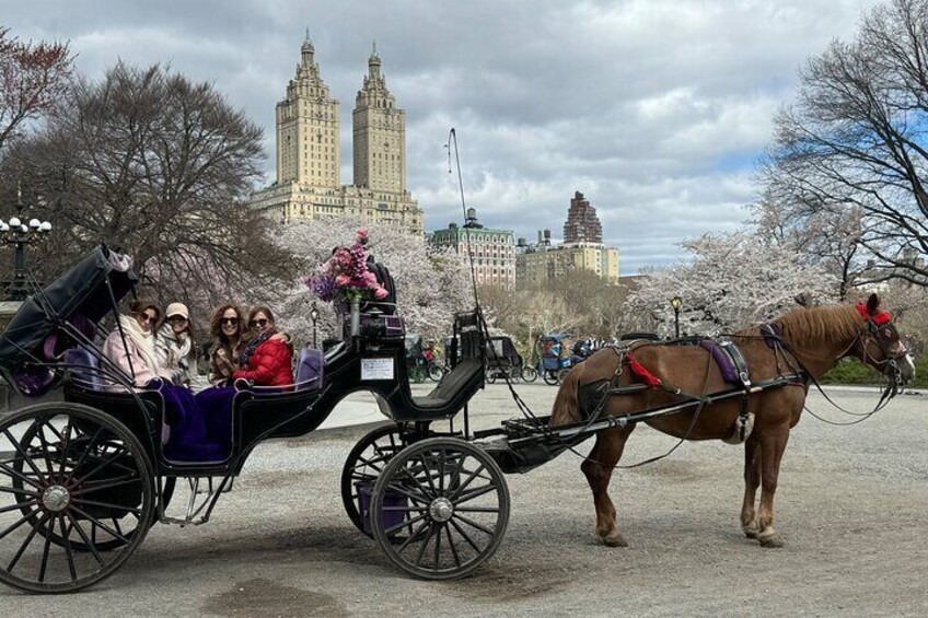  45 Minutes NYC Empire State Horses Carriage Ride in Central Park