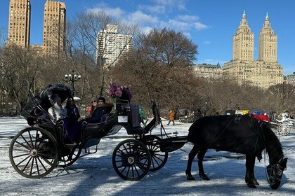 NYC Empire State Horses Carriage Ride in Central Park (45 Mins)