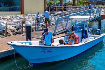 Descubre Santa Marta Acuario, Delfines y Playa Blanca