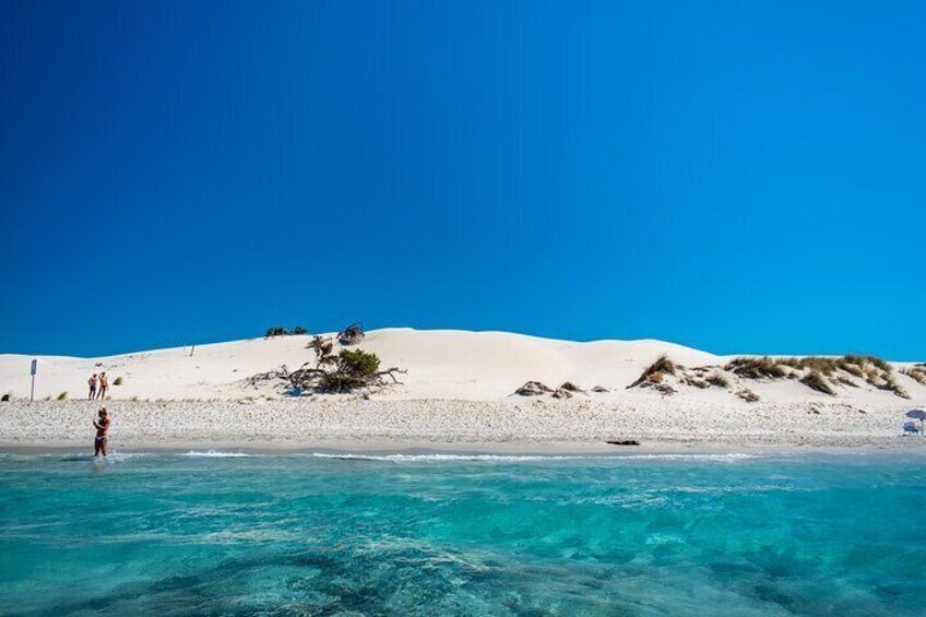 Dune beach of Porto Pino