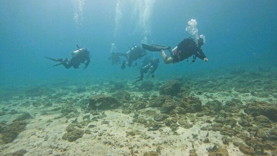 From Abu Dhabi: 2 Dives for Certified Divers in Fujairah