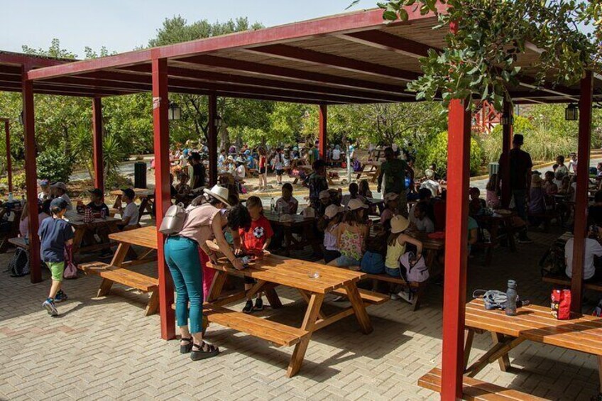 Cafe-Snack Bar