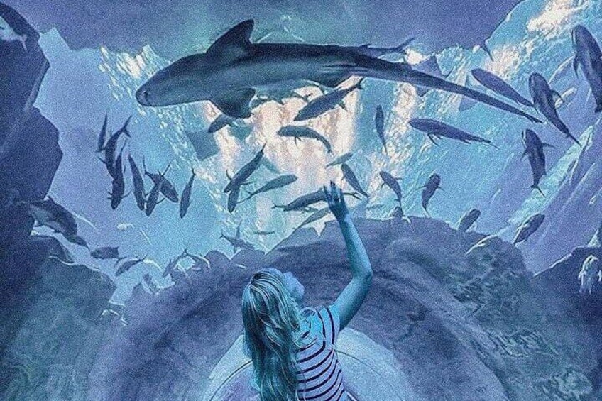 Dubai Aquarium and Underwater Zoo Tickets