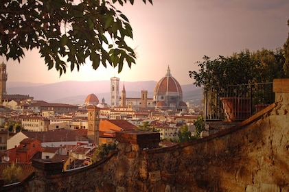 Florencia en 1 día: tour renacentista desde Roma