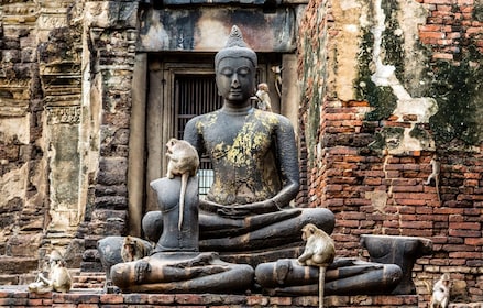 Tur Kuil Kuno Ayutthaya yang Luar Biasa