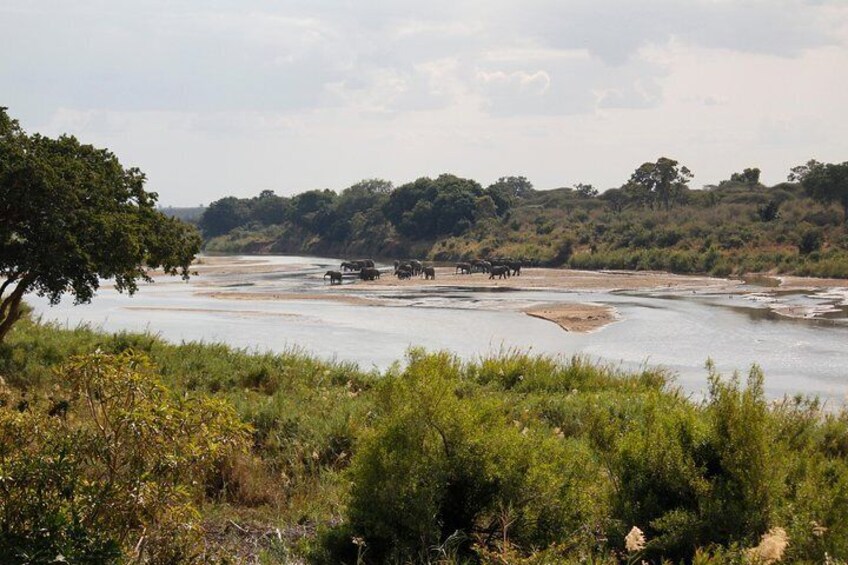 Kruger - Lower Sabie