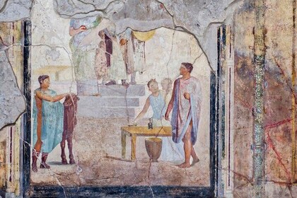 Pompeii, Herculaneum and Mount Vesuvius Private Tour from Naples