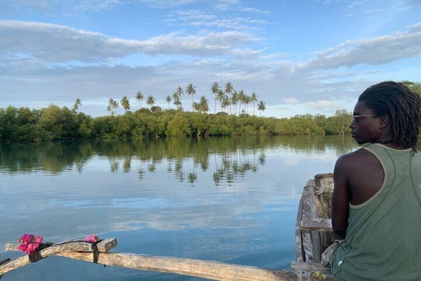 Magroves, palm trees, birds, a calm river