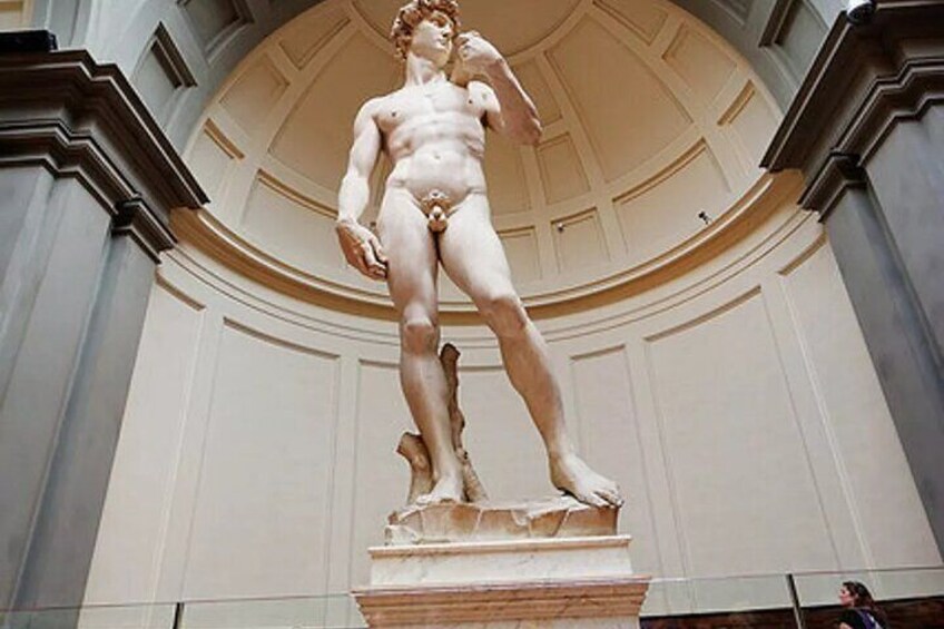 Accademia Gallery Skip the Line with Timed Entry Ticket