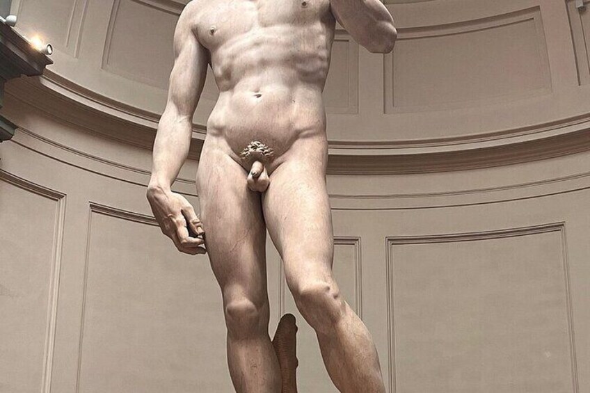 Accademia Gallery Skip the Line with Timed Entry Ticket