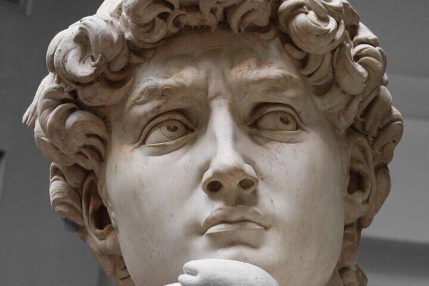 Accademia Gallery Skip the Line with Timed Entry Ticket