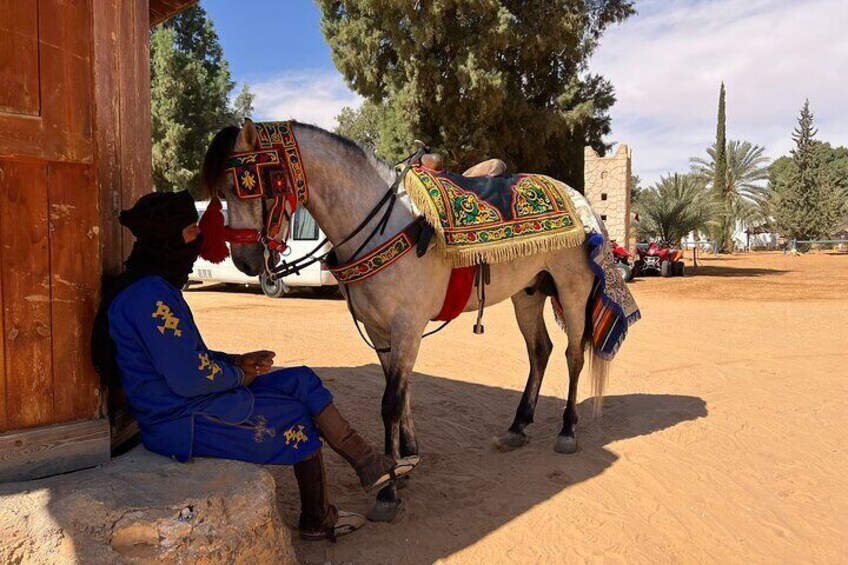 2 Days and 1 Night Excursion to Ksar Ghilane Under the Tent