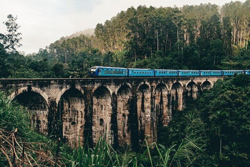 Ella Day Tour with Train Ride