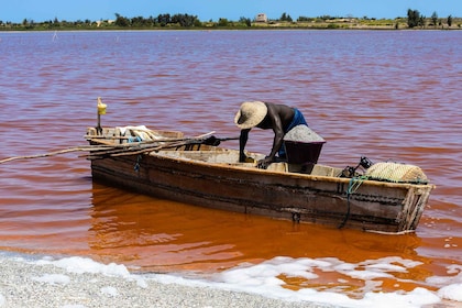 From Dakar or Saly: Half-Day Tour to Pink Lake