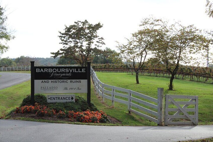 Barboursville Vineyard and Ruins