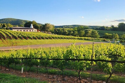 Visite privée des vins de la région de Charlottesville