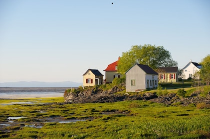 Secrets of the archipelago of Isle-Aux-Grues Cruise