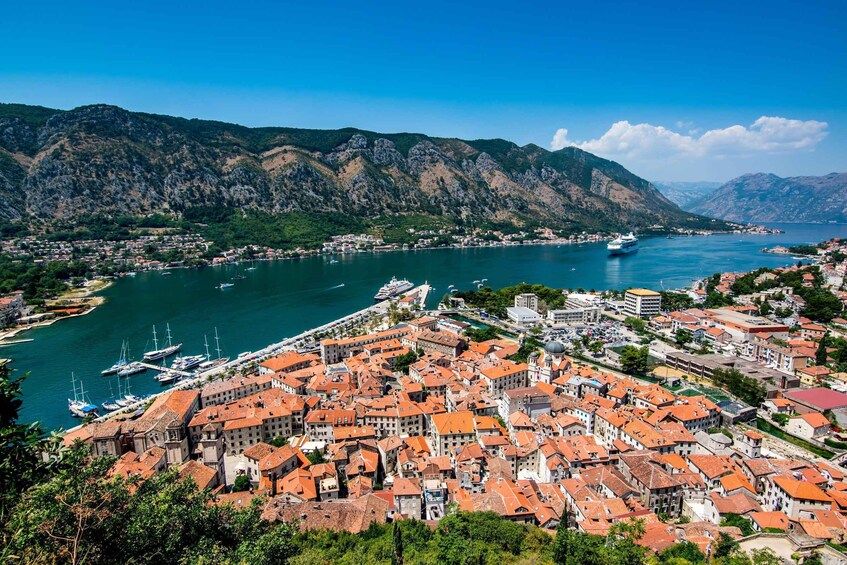 Picture 3 for Activity Kotor: Old Town Private Walking Tour