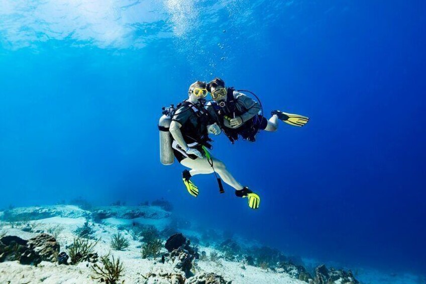 Certified Diving 2 Tanks in Cozumel
