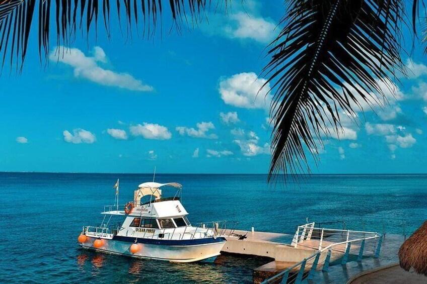 Certified Diving 2 Tanks in Cozumel