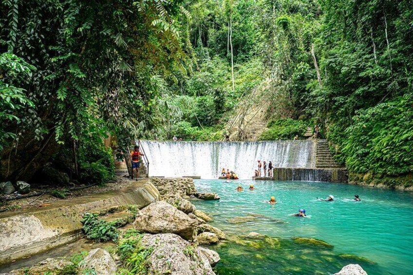Kawasan Falls Canyoning and Moalboal Sardine Run, Sea Turtles