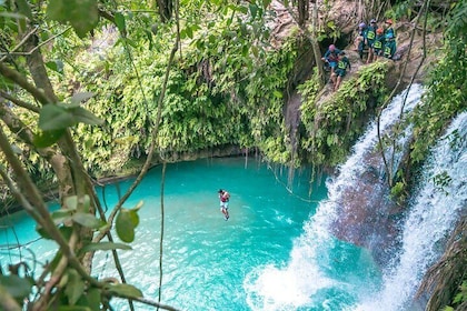 Kawasan Falls Canyoning and Moalboal Sardine Run, Sea Turtles