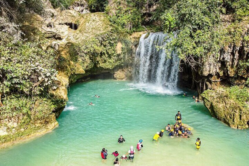 Kawasan Falls Canyoning and Moalboal Sardine Run, Sea Turtles