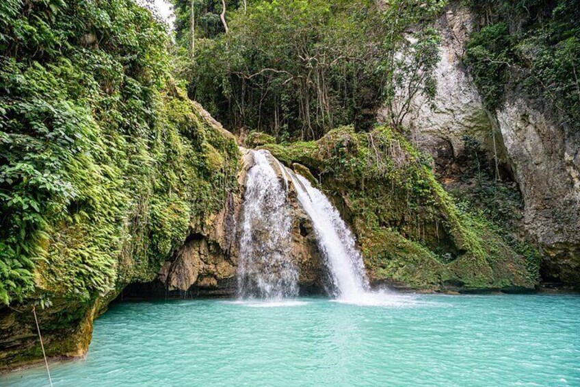 Kawasan Falls Canyoning and Moalboal Sardine Run, Sea Turtles